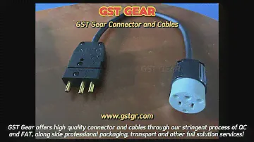 GST Connector and Sable Show