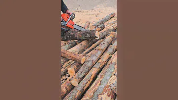 Шустрая бензопила Oleo-mac(Efco) #chainsaw #бензопила
