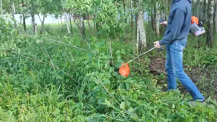 коса Дружба-2